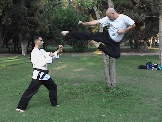 דורון אביעד, מדריך אומנויות לחימה